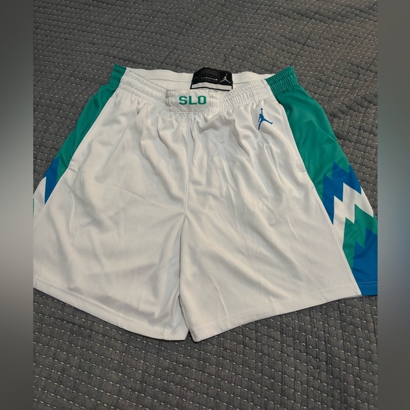 Jordan Swingman Slovenia Basketball Shorts Adult 3XL New with Tag - Picture 1 of 4